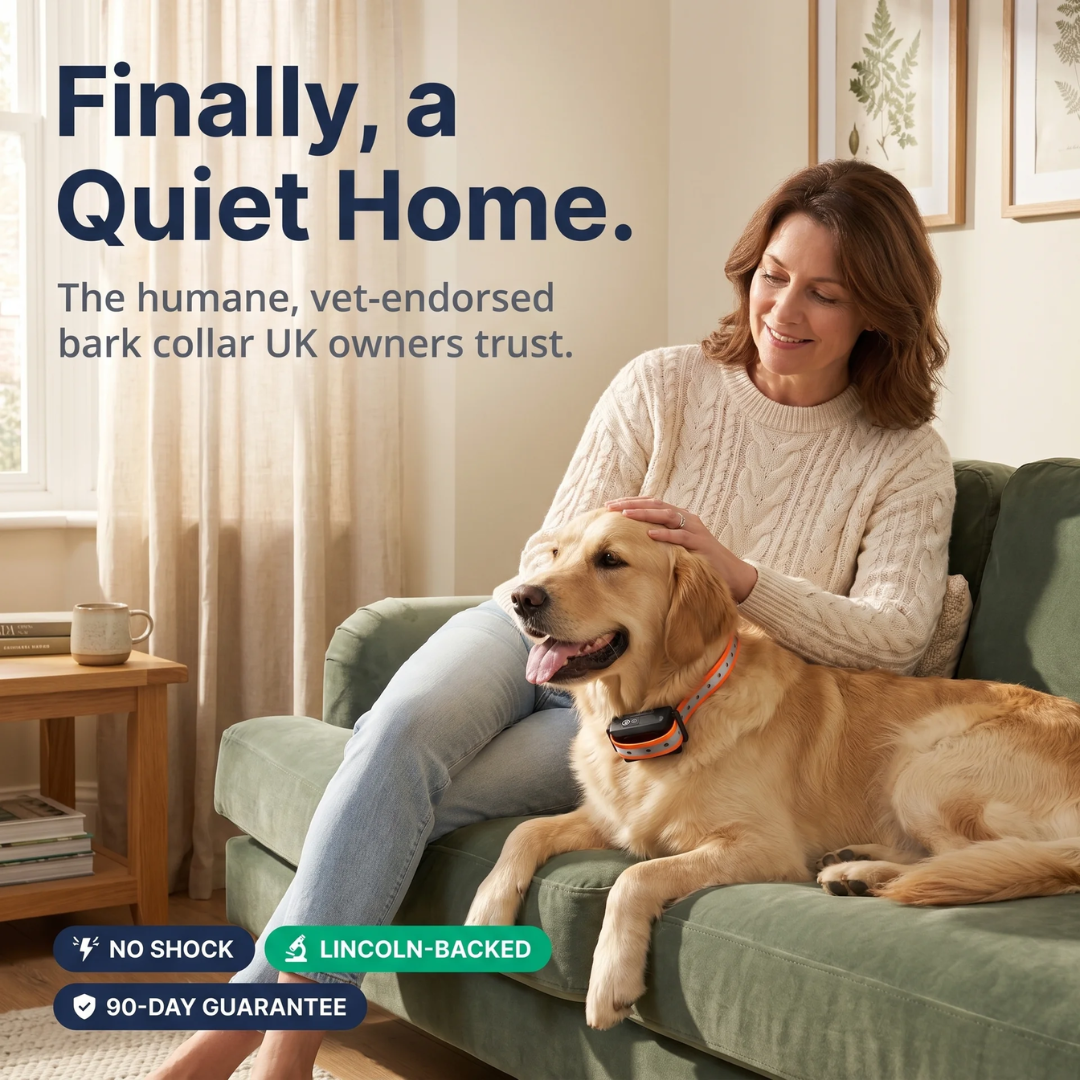 BarkSense™ | Smart Humane Bark Collar with Voice-Lock™ Detection