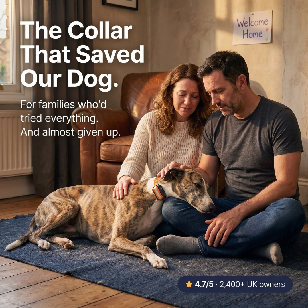 BarkSense™ | Smart Humane Bark Collar with Voice-Lock™ Detection